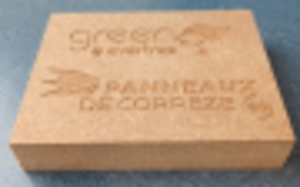 MDF BIO SOURCE NEXT 19MM 280X207 100% RESINEUX + 100% RESINE VEGETALE